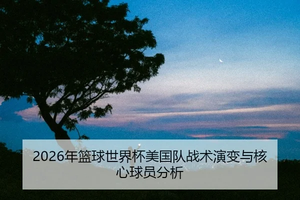 nian-lan-qiu-shi-jie-bei-mei-guo-dui-zhan-shu-yan-bian-yu-he-xin-qiu-yuan-fen-xi-2-954.jpg