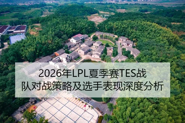 2026年LPL夏季赛TES战队对战策略及选手表现深度分析