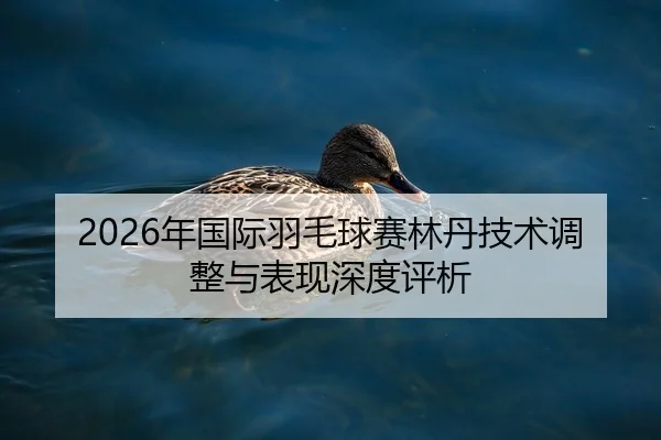 nian-guo-ji-yu-mao-qiu-sai-lin-dan-ji-shu-tiao-zheng-yu-biao-xian-shen-du-ping-xi-2-106.jpg